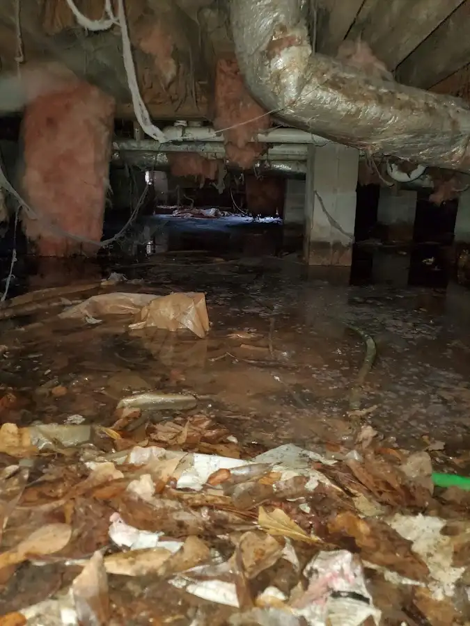 Crawl space flood assessment for Leak Detection & Repair in Vicksburg
