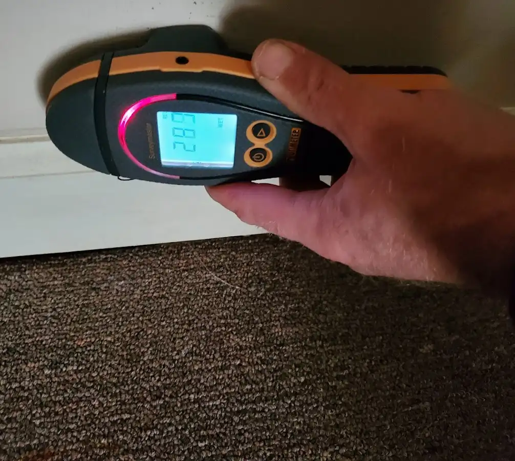 Moisture detection at baseboard during Sewage Cleanup & Sanitation in Vicksburg